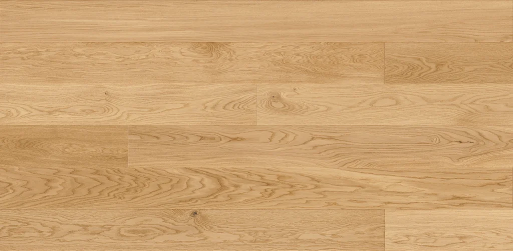 Chêne Askania Grande