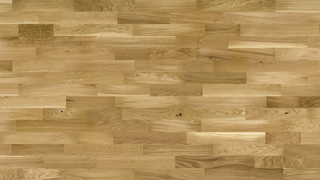 Chêne Askania Molti