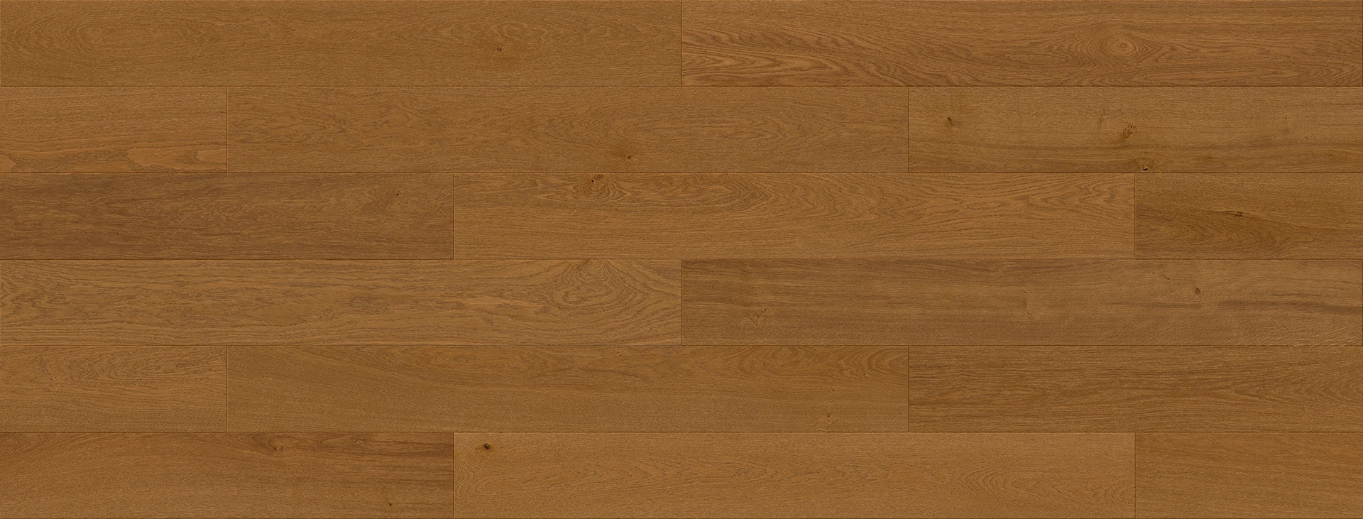 Chêne Vitaria Origin